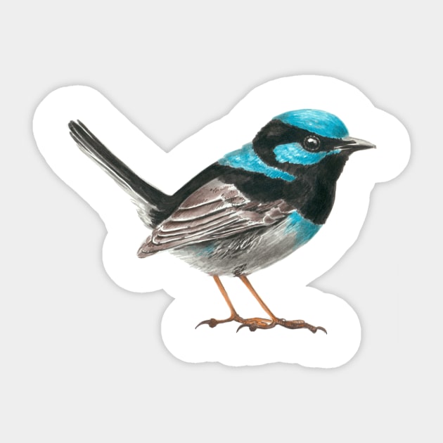 Fairy wren bird Sticker by katerinamk